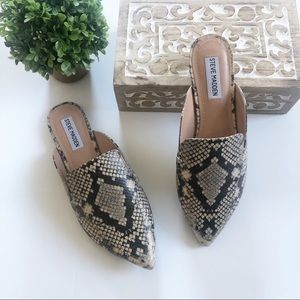 Steve Madden • Snake Print Mules